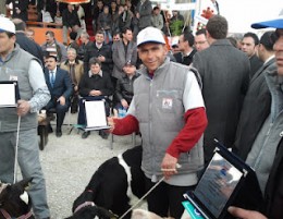 Bozkır Buzağısı Jale İkinci Oldu