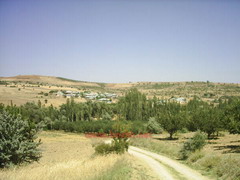 Bozdam Köyü
